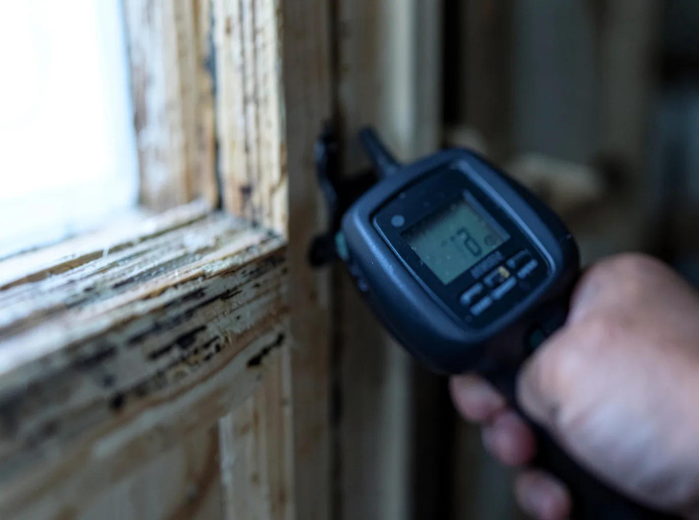 Insurance Claim Documentation in Allyn, WA